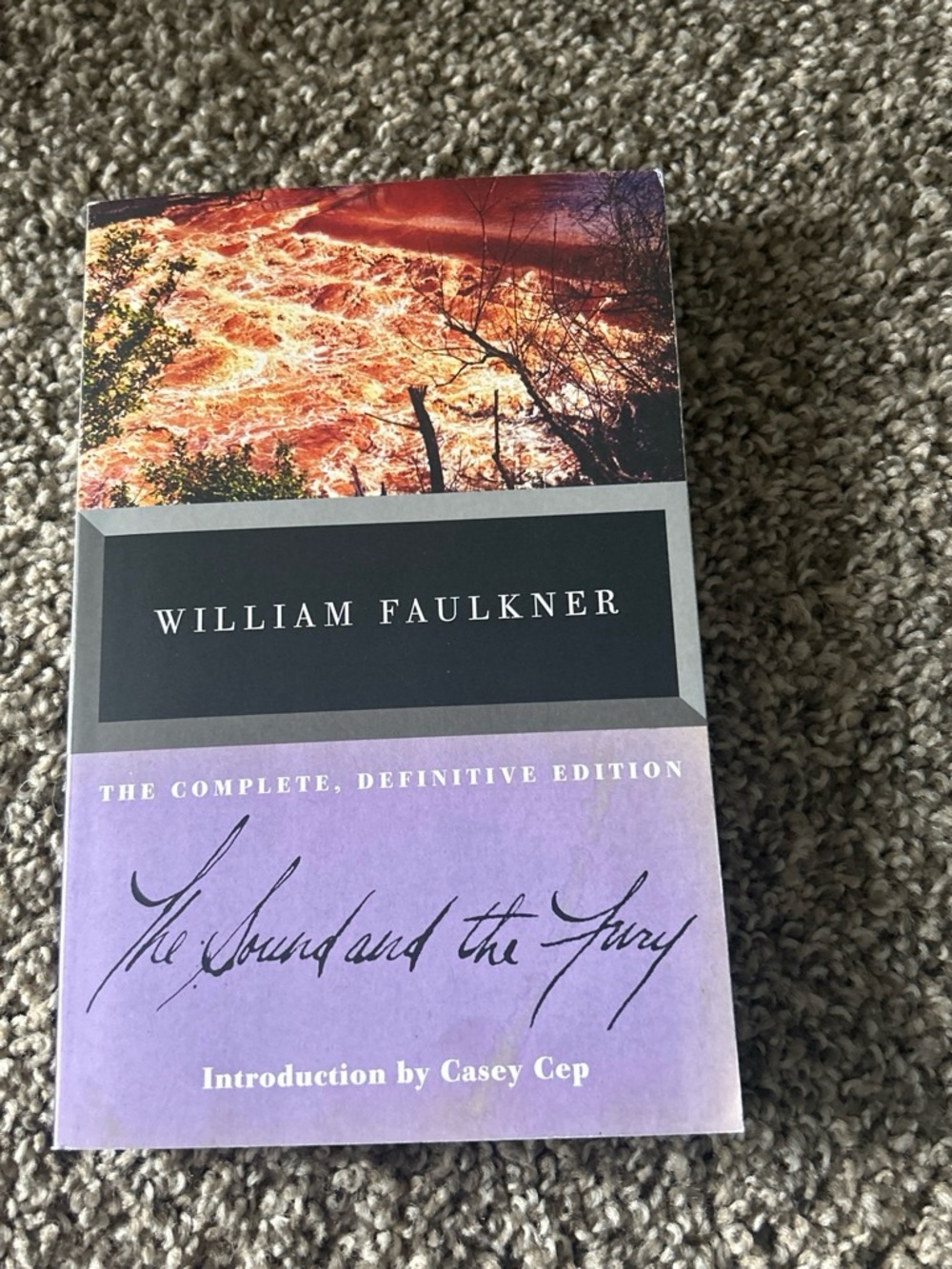 William Faulkner "The Sound and the Fury" - Purple & Black Trade Paperback